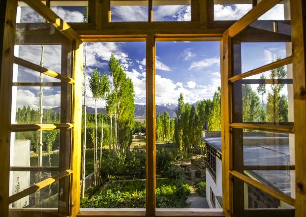 Cost of Wood Window Replacement in Bakersfield