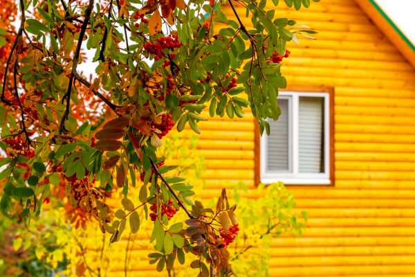 Cost of Garden Window Replacement in Bakersfield